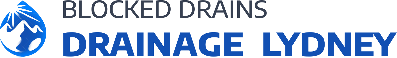 website logo